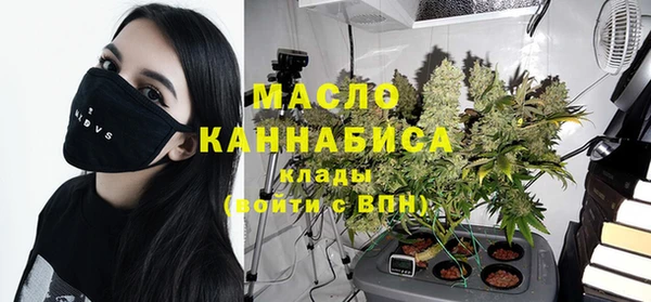 стаф Пересвет