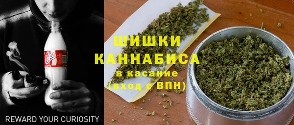 стаф Пересвет