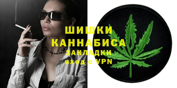 стаф Пересвет