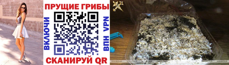 купить   кракен ТОР  Псилоцибиновые грибы Cubensis  Яровое 
